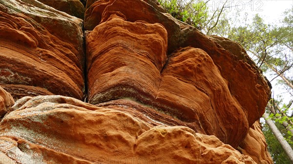 Red sandstone rocks in the volcanic Eifel