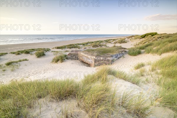 Destroyed bunkers in the dunes of Dunkirk