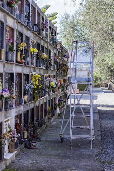 Wall with graves and ladder with wheels in a cemetery