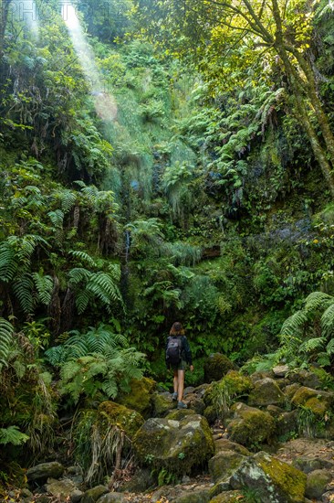 A young woman in the great green vegetation of the Levada do Caldeirao Verde trail