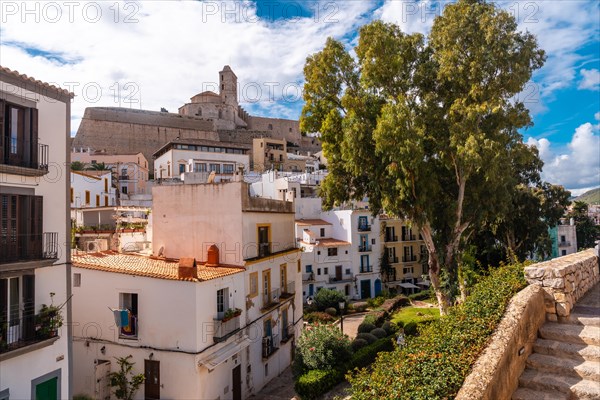 Cathedral of Santa Maria de la Neu from the castle wall of the city of Ibiza