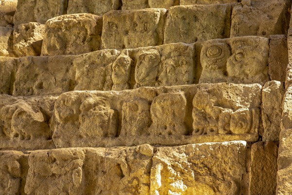 Detail of the stairs full of drawings of the temples of Copan Ruinas. Honduras