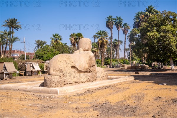 The precious Sphinx of Memphis in Cairo