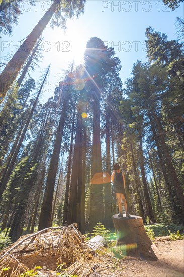 A woman in Giant trees in a meadow of Sequoia National Park