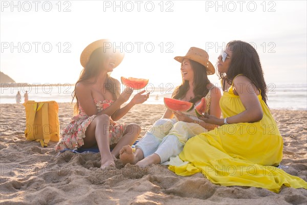 Friends chatting during picnic on the beach during sunset