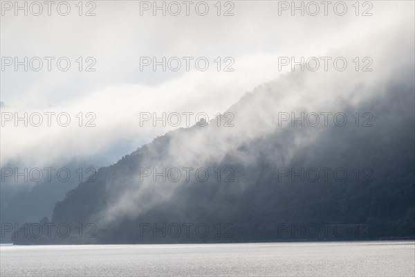 Morning Fog on the Danube