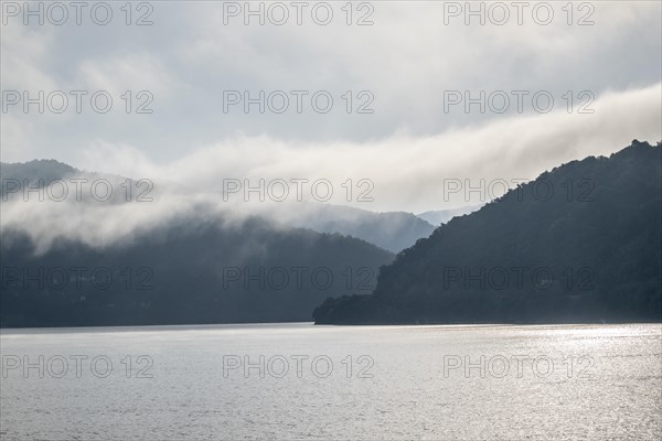 Morning Fog on the Danube