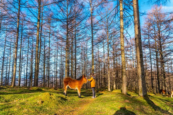 A young hiker stroking wild horses in the Oianleku forest