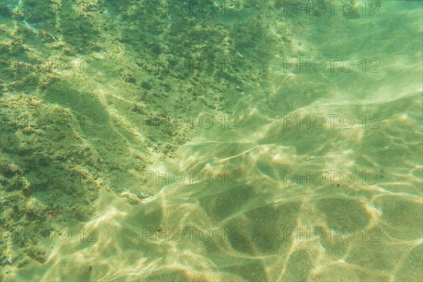 Diving in a beautiful seabed in the town of Zarautz very close to San Sebastian