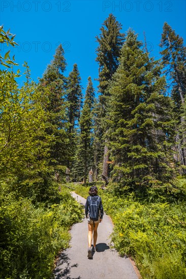 A young woman walking along a path in Sequoia National Park