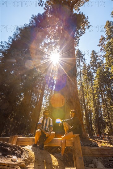A couple in the giant General Sherman Tree tree in Sequoia National Park