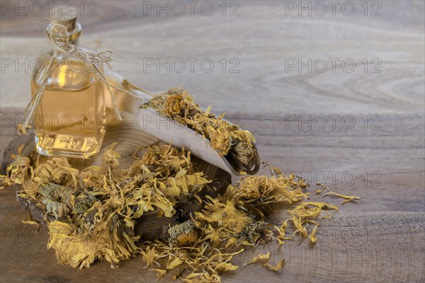 Dried flowers of calendula