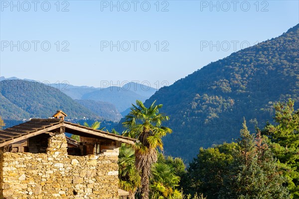 Beautiful Panoramic View over Mountain Range and Valley and Rustic Hut and Palm Tree with Sunlight and Clear Blue Sky in Malcantone