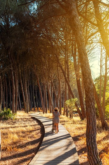 Wooden walkway with a mother with her son walking through the Donana Natural Park
