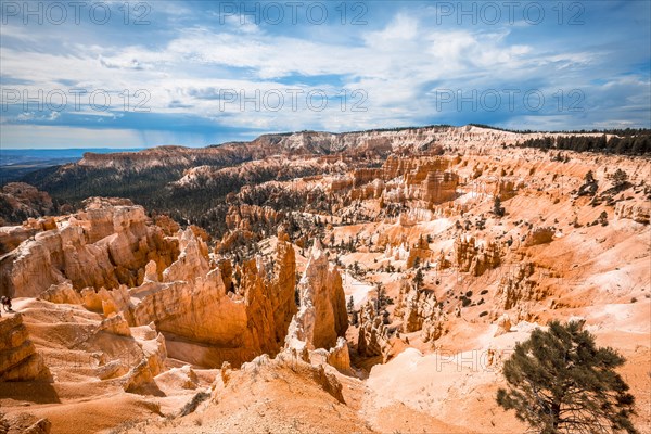 We started the trekking Queens Garden Trail in Bryce National Park