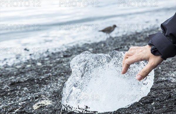 A hand stroking ice on the beach of Jokulsarlon Ice Lake in the Golden Circle of southern Iceland