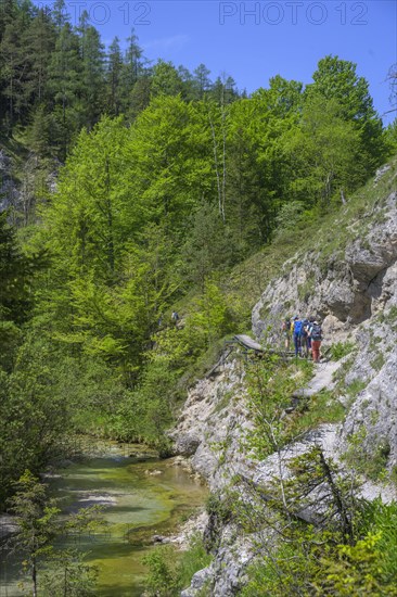 Hiking trail in the Oetschergraben