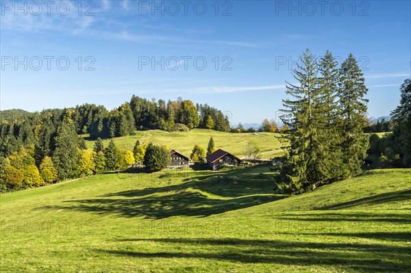 Autumn landscape in the Allgaeu with the Alpe Wenger Egg inn