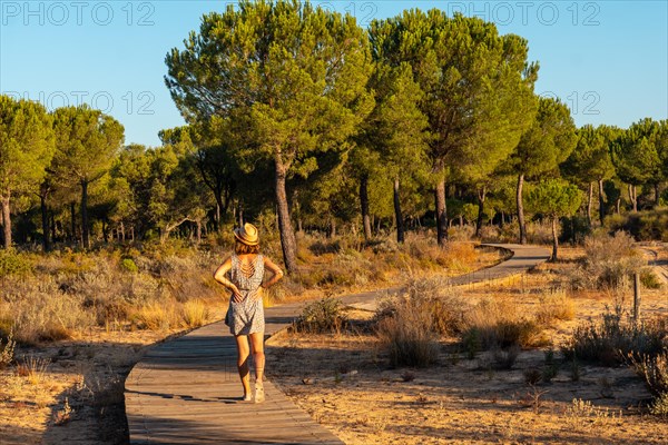 A young woman on the wooden walkway taking a walk inside the Donana Natural Park