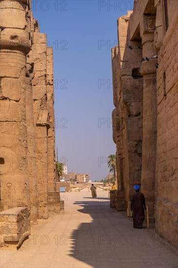 The sculptures of pharaohs and ancient Egyptian drawings on the columns of the Luxor Temple. Egypt