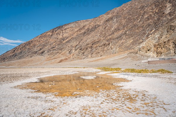 Some water in the immense white salt of Badwater Basin
