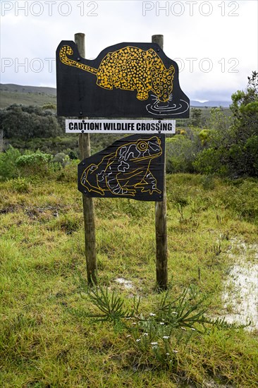 Game sign