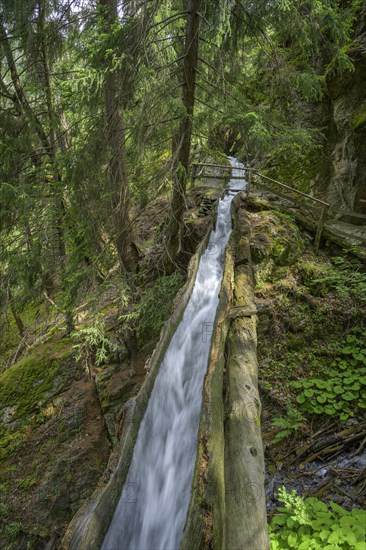 Watercourse with hollowed out tree trunk at Berkwaal