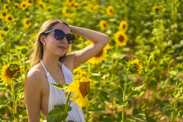 A blonde Caucasian woman with sunglasses and a white dress in a beautiful field of sunflowers on a summer afternoon