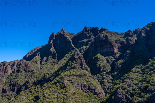 Masca Canyon in the mountain municipality in the north of Tenerife