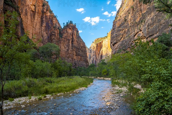 The beautiful views of the Zion national park canyon. United States