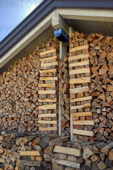 Stacked logs