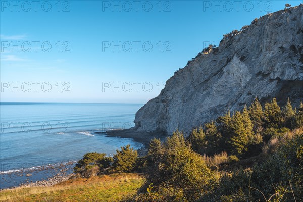 Skull on the stones on the coast from Deba to Zumaia. Basque Country