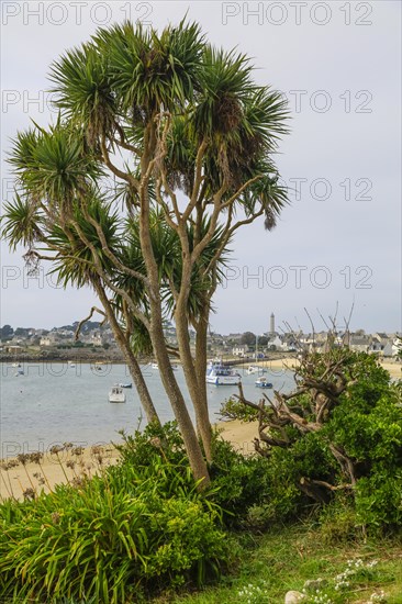 Ile de Batz island in the English Channel off the coast of Brittany near Roscoff