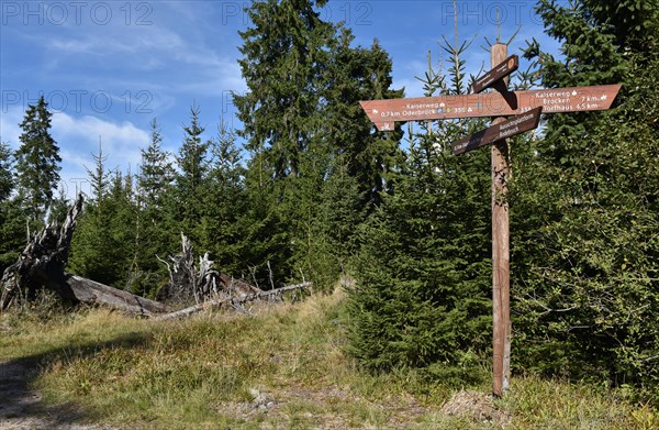 Signposts in the Harz Mountains