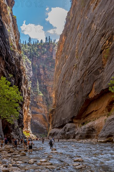 Interior of the Zion National Park canyon. United States
