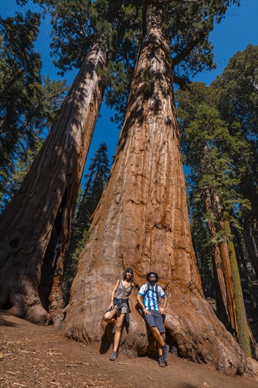 A couple with the texture of a tree bark in Sequoia National Park
