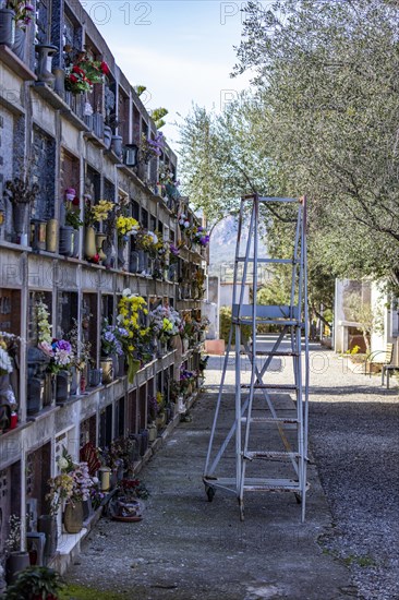 Wall with graves and ladder with wheels in a cemetery