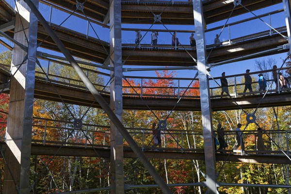 Tree top pad