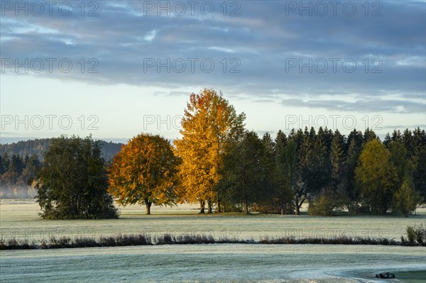 Landscape near Isny in Allgaeu at sunrise in good weather. Autumn