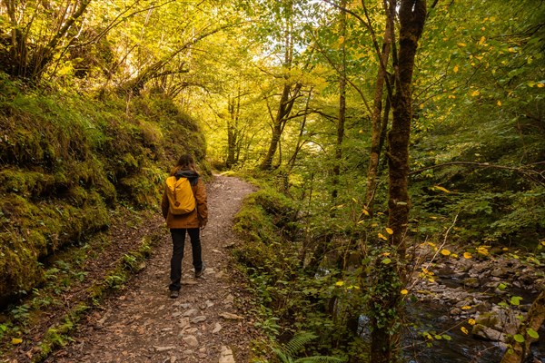 A young woman heading to Passerelle de Holtzarte in the forest or jungle of Irati