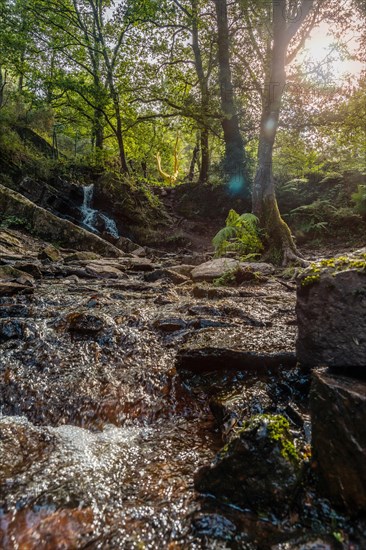 A waterfall in the Arbre D'or in the Broceliande forest