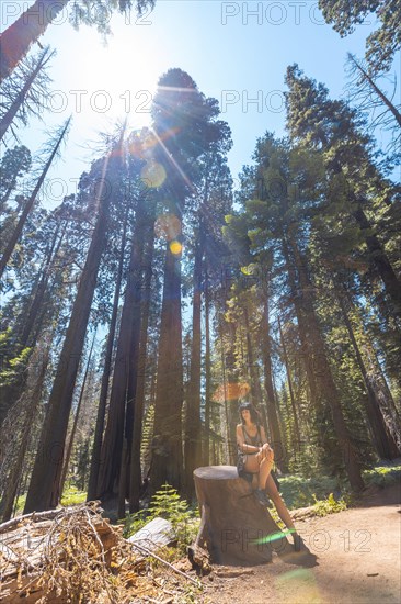 A woman in Giant trees in a meadow of Sequoia National Park