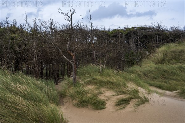 Traeth Llanddwyn Beach