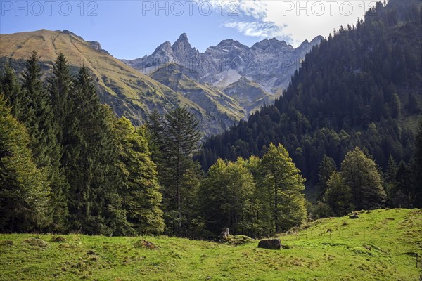View from the Rappenalp valley to Trettachspitze and Maedelegabel