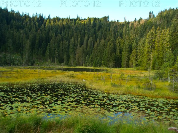 Huzenbacher See