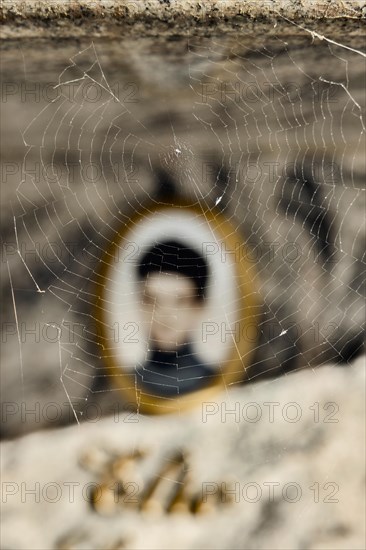 Spider's web on a tombstone in front of a blurred photo Medailion of the deceased in a cemetery