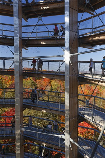 Tree top pad