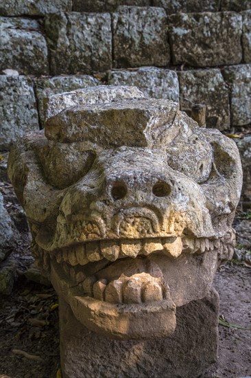 The dragon of the astronomical pyramid of the temples of Copan Ruinas. Honduras