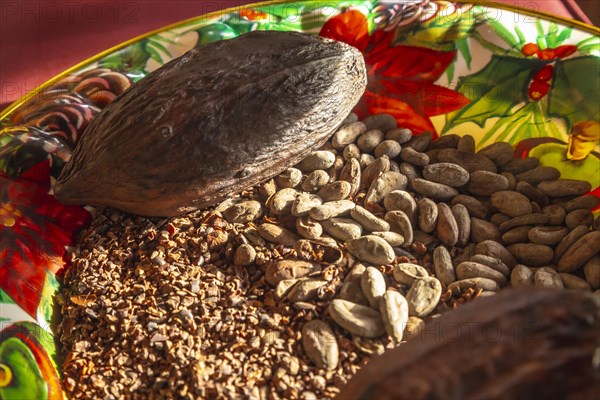 Dry chocolate cocoa and its fruit on a plate on Roatan Island. Honduras