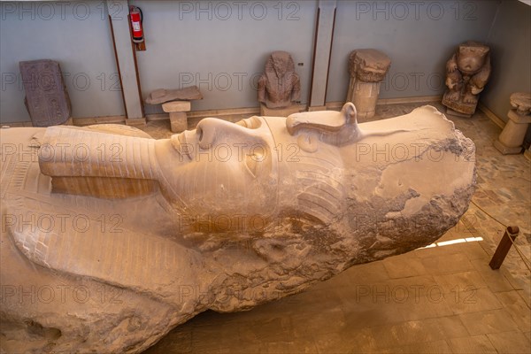 Detail from above of the sculpture of the Colossus of Ramses II in the Memphis museum in Cairo